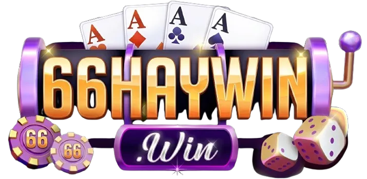 66haywin.com