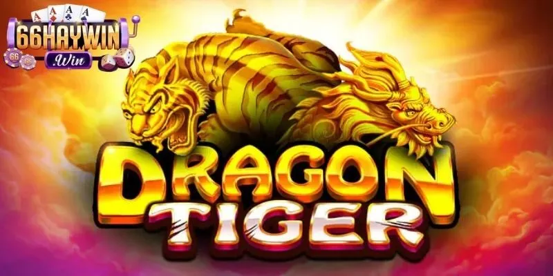 Các kết quả thắng thua