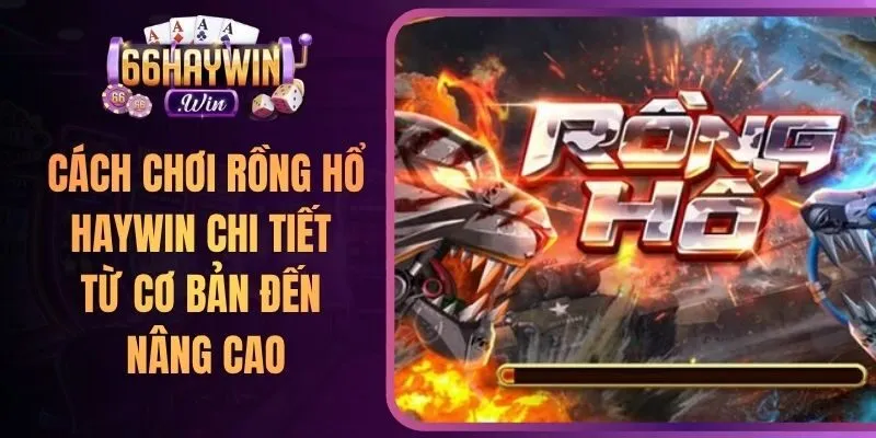 Cách Chơi Rồng Hổ Haywin Chi Tiết Từ Cơ Bản Đến Nâng Cao